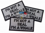 I am not a seal - I am Whale!, 50x70, AA219 -   : I am not a seal - I am Whale!, AA219.   .