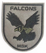  Falcons MSK (    ), SB074 -  Falcons MSK (    )