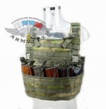Commando chest rig - боевой нагрудник, D029-FG, мох зеленый